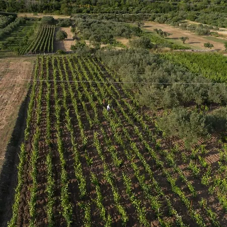 Malenica * Danilo Biranj