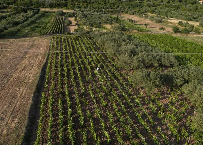 Malenica * Danilo Biranj